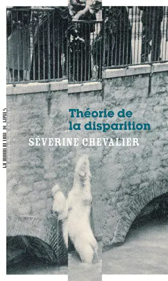 Theoriede la disparition